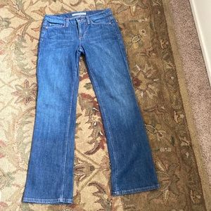 Joe’s Jeans Provocateur Style Dark Wash Boot Cut